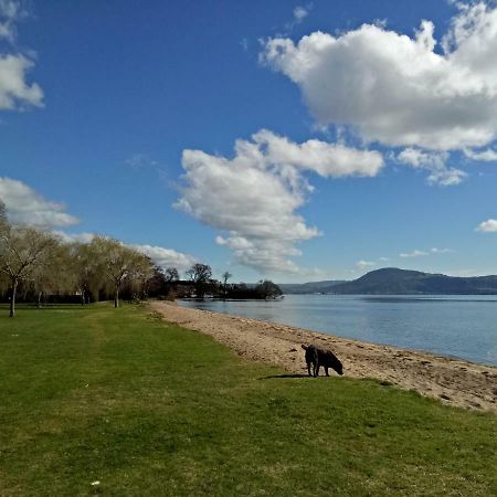 Great View Near Rotorua Lake المظهر الخارجي الصورة